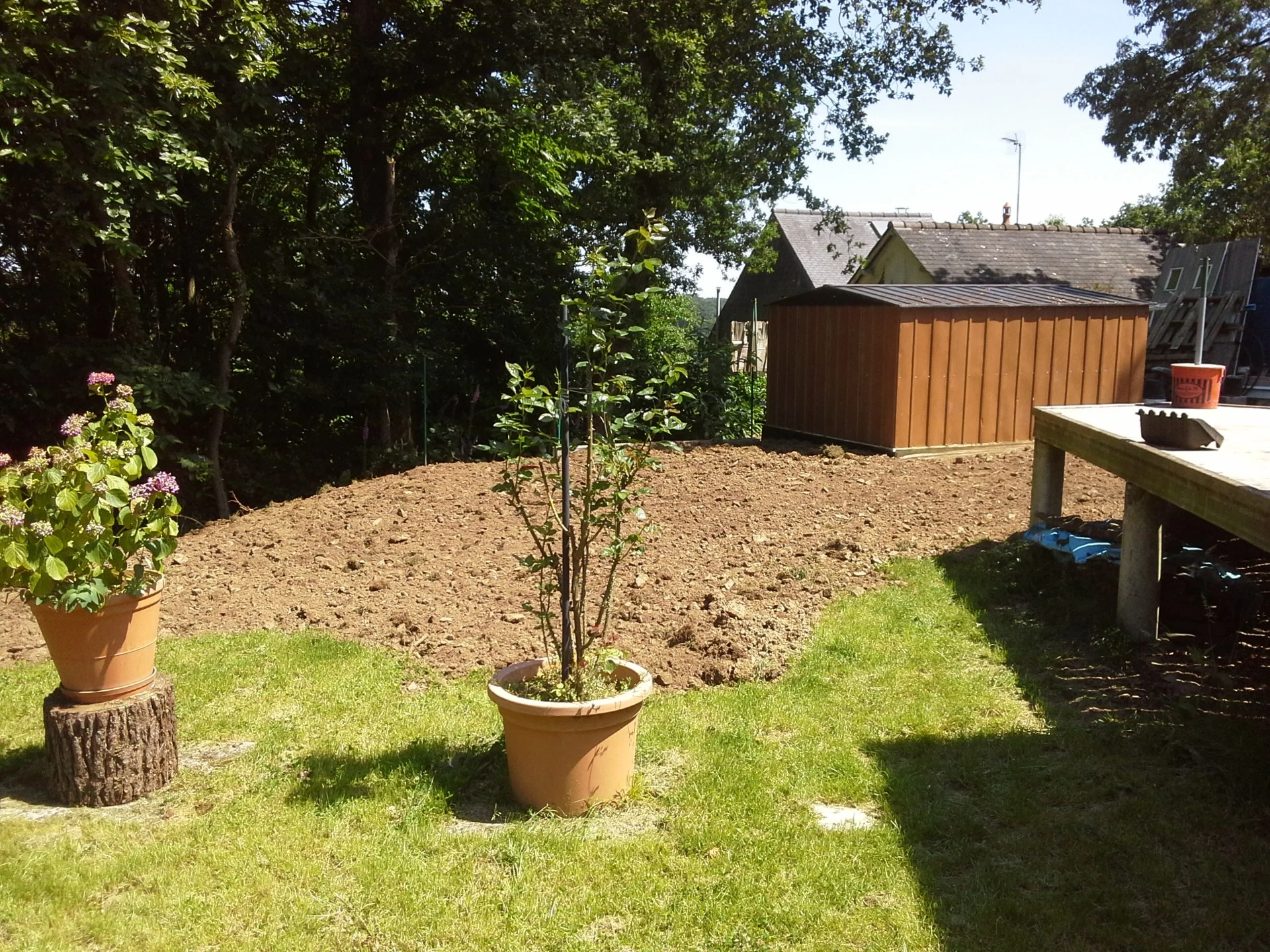 Mise-en-place-de-terre-vegetale.jpg