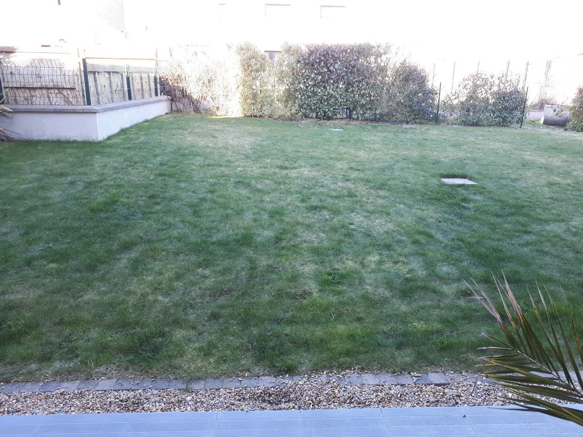Création d'une terrasse et aménagement d'un jardin à Pacé