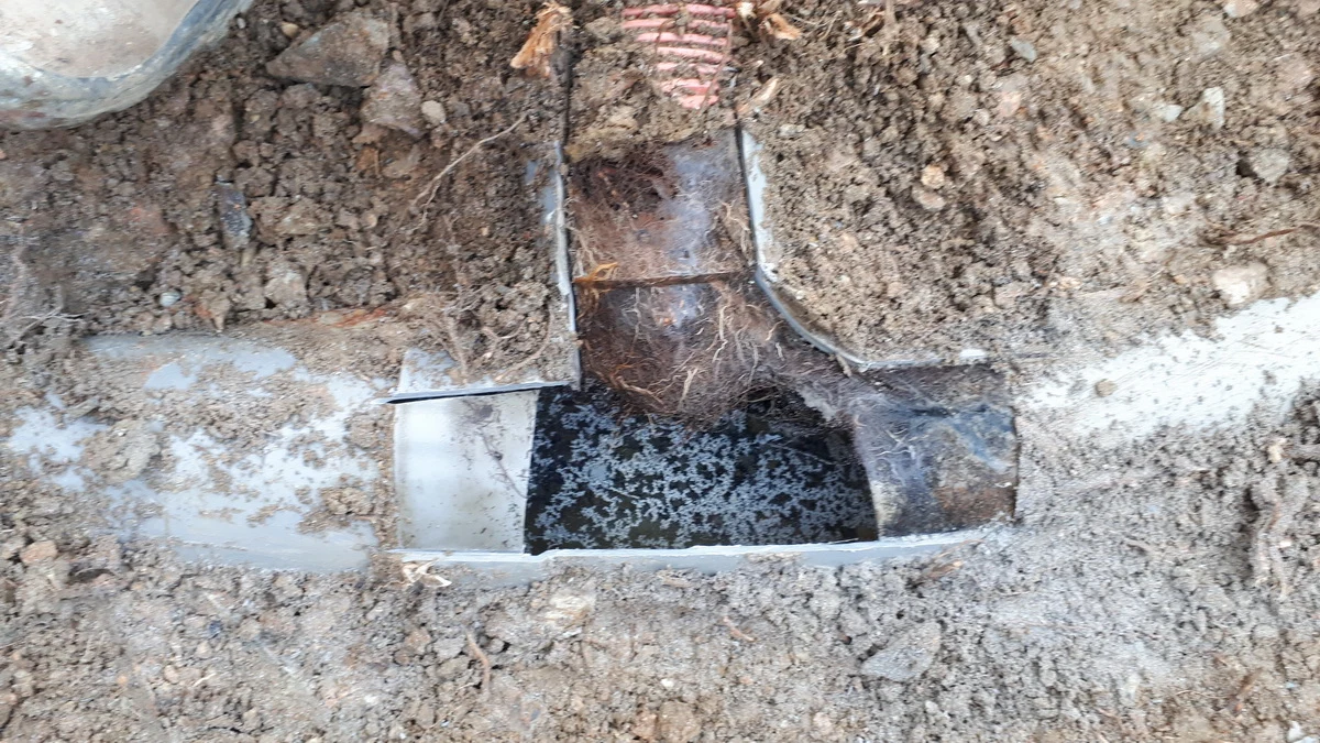Réparation d'une canalisation bouchée par des racines à Rennes